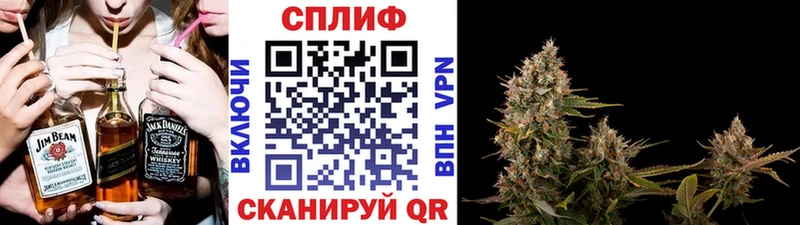Шишки марихуана индика  хочу наркоту  Красный Холм 